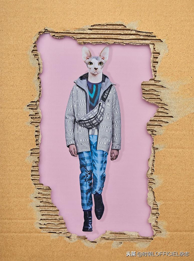 kaiyun官方网app下载app dress according to your pets 2018秋冬 时髦“宠物主”