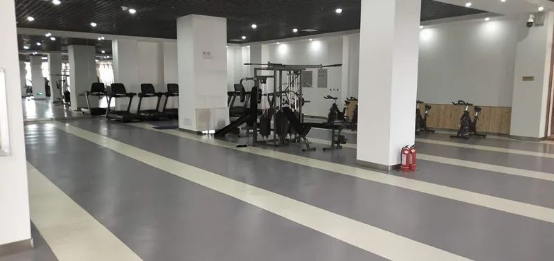 综合训练器锻炼指南_训练和锻炼有什么区别_类似肌肉锻炼指南app