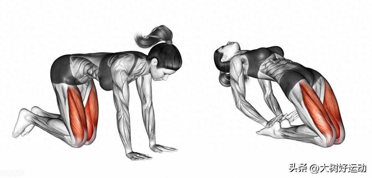 开yun体育app官方下载入口 股四头肌锻炼法：四步塑造强健双腿