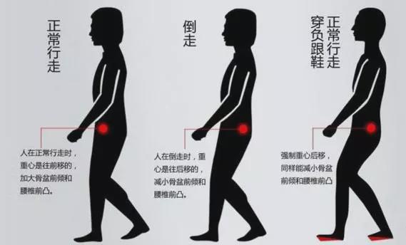 股四头肌训练椅使用方法_股四头肌训练椅_股四头肌训练椅安装步骤