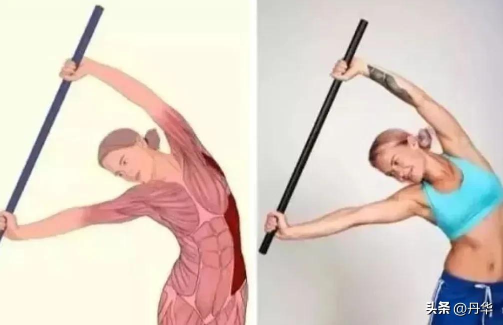 综合训练器 一周计划_训练周计划怎么写_训练周计划模板