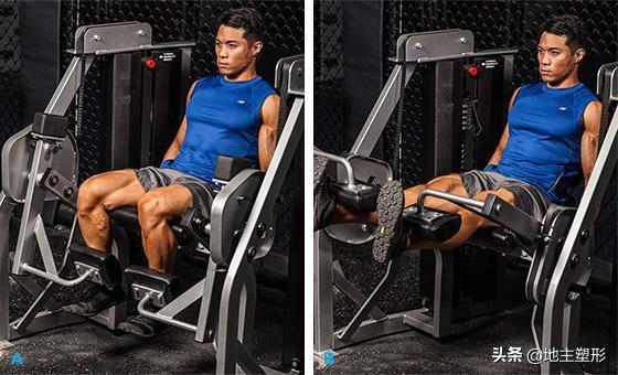 kaiyun体育 什么是肱四头肌，它又有什么作用，你都了解吗