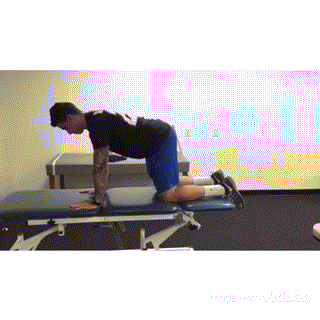 髋关节训练椅的用途_髋关节训练椅说明书_髋关节训练椅