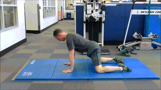 髋关节训练椅说明书_髋关节训练椅_髋关节训练椅的用途