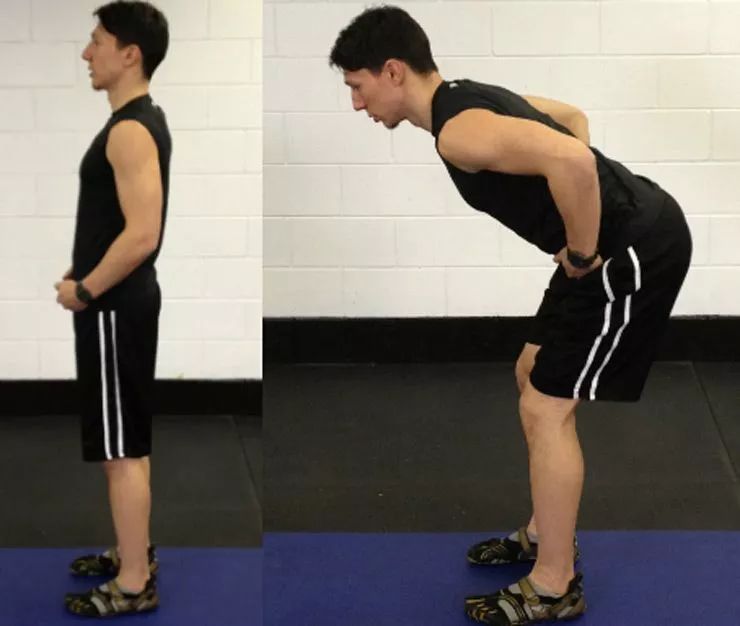 髋关节训练椅_髋关节训练椅说明书_髋关节训练椅的用途