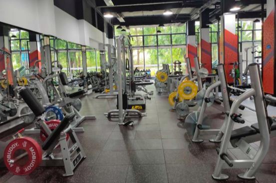 器材健身视频大全_健身器材综合训练器_器材健身教程