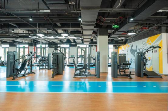 器材健身视频大全_器材健身教程_健身器材综合训练器