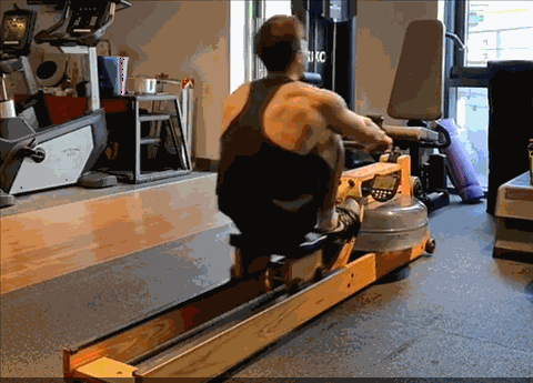 单人训练器怎么操作_单人站综合训练器使用_单人站综合训练器教程