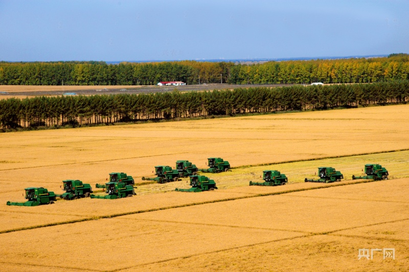 云开·全站APP登录入口 【大时代】佳木斯：黑土地守好“龙江粮仓”  云科技端牢“中国饭碗”