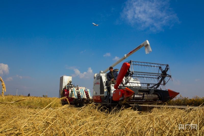 佳木斯农机大市场在哪_佳木斯农机局在哪里_佳木斯市农机所