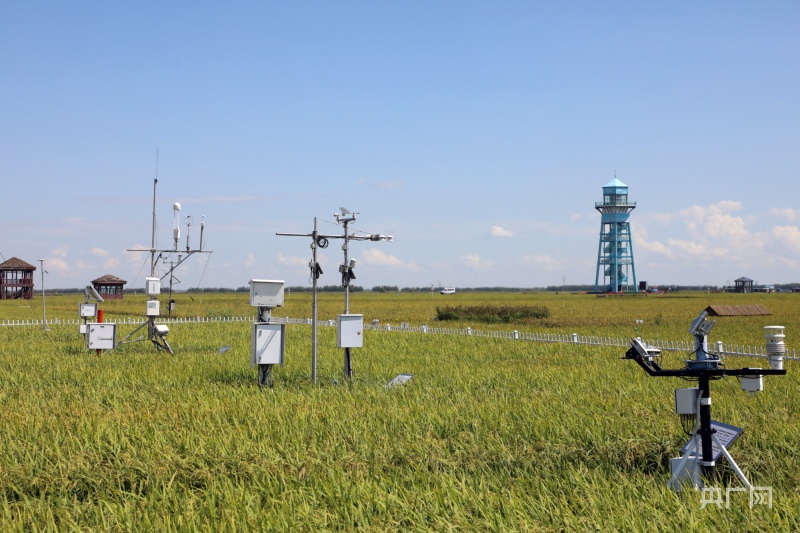 佳木斯农机局在哪里_佳木斯市农机所_佳木斯农机大市场在哪