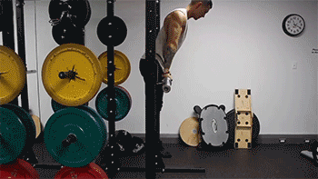 综合训练器 胸肌_胸肌训练器有用吗_器械练胸