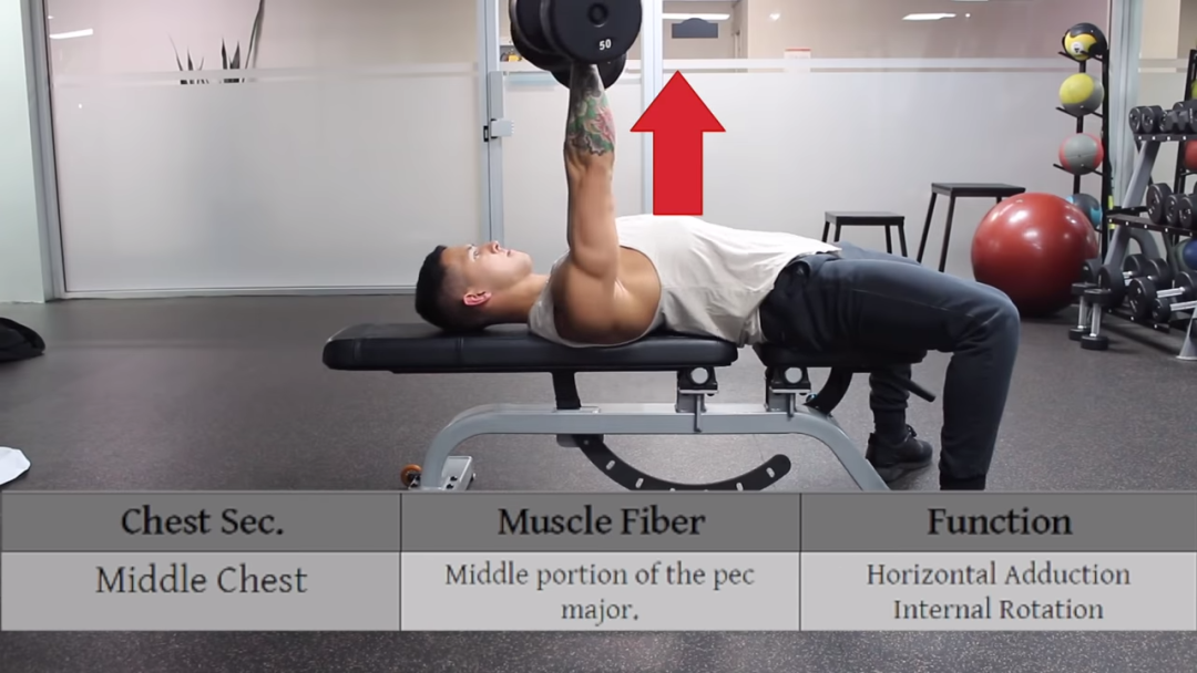 器械练胸_胸肌训练器有用吗_综合训练器 胸肌