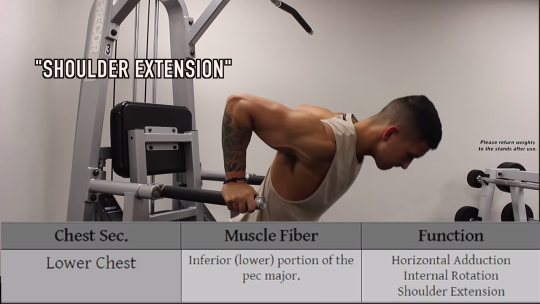 胸肌训练器有用吗_综合训练器 胸肌_器械练胸