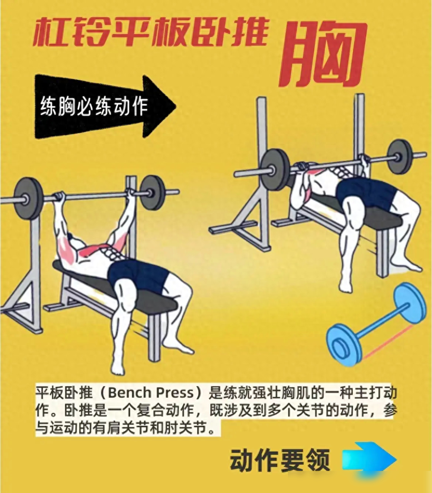 开yun体育官网入口登录体育 胸部训练王牌动作-杠铃卧推！