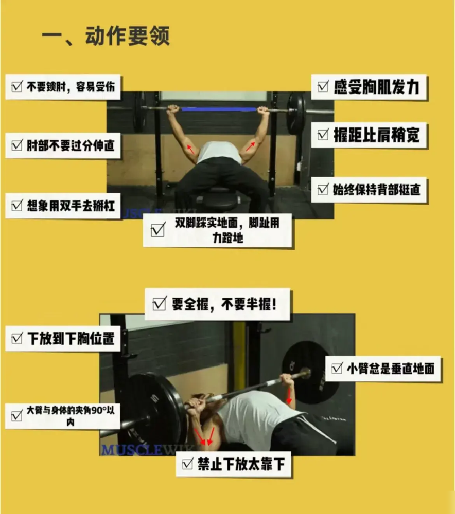 胸肌锻炼器材的使用方法_综合训练器 胸肌_胸肌训练器有用吗