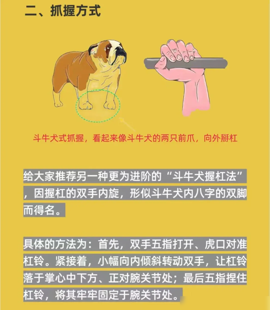 综合训练器 胸肌_胸肌训练器有用吗_胸肌锻炼器材的使用方法