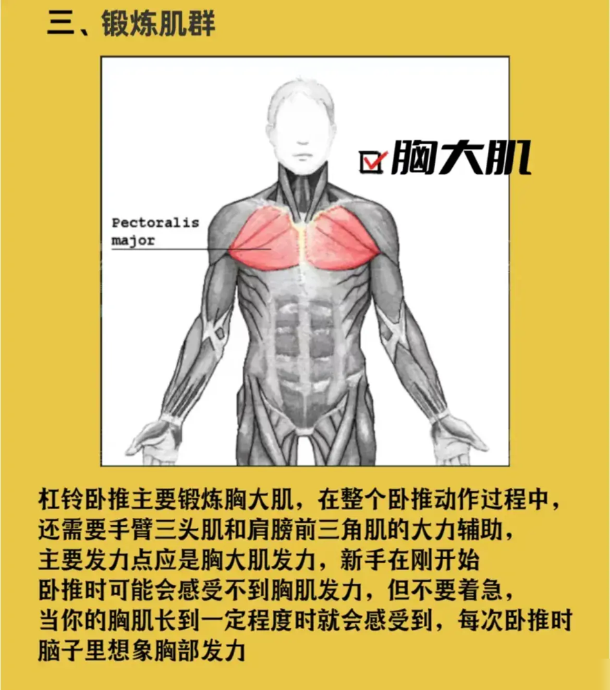 胸肌训练器有用吗_胸肌锻炼器材的使用方法_综合训练器 胸肌