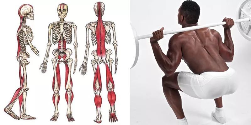 股四头肌训练椅_股四头肌训练椅注意事项_股四头肌训练椅安装步骤