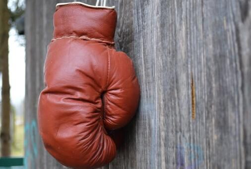 开yun体育官网入口登录体育 一、健身手套推荐选择