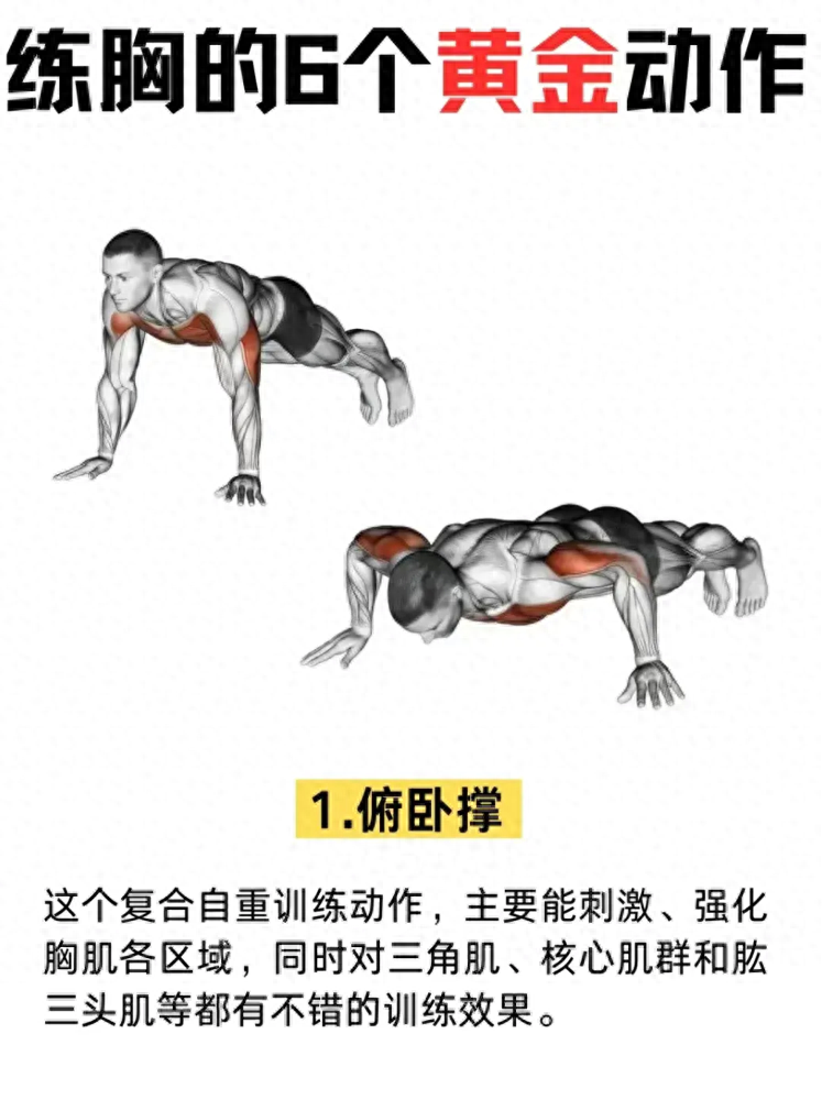 开yun体育app入口登录 练习胸肌的六个“黄金”动作！