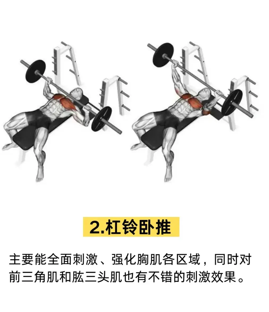 综合训练器 胸肌_胸肌锻炼器材的使用方法_胸肌训练器有用吗