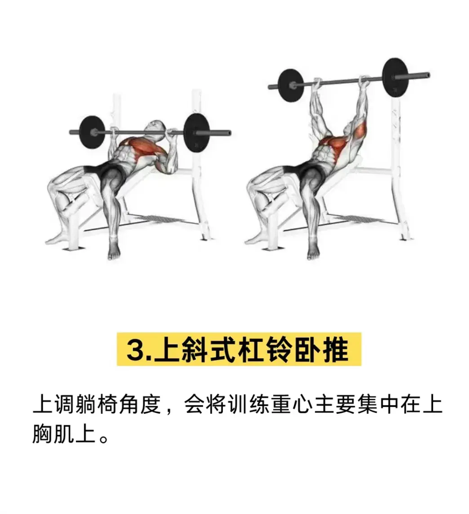 综合训练器 胸肌_胸肌锻炼器材的使用方法_胸肌训练器有用吗