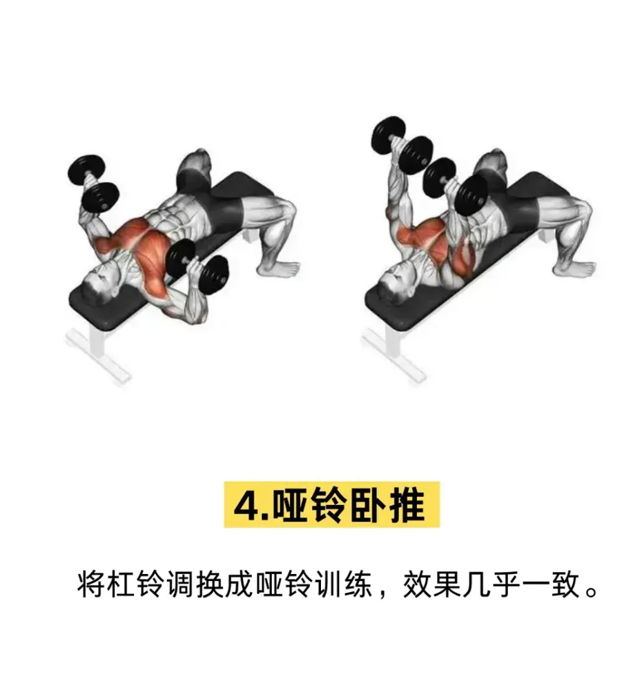 胸肌训练器有用吗_胸肌锻炼器材的使用方法_综合训练器 胸肌