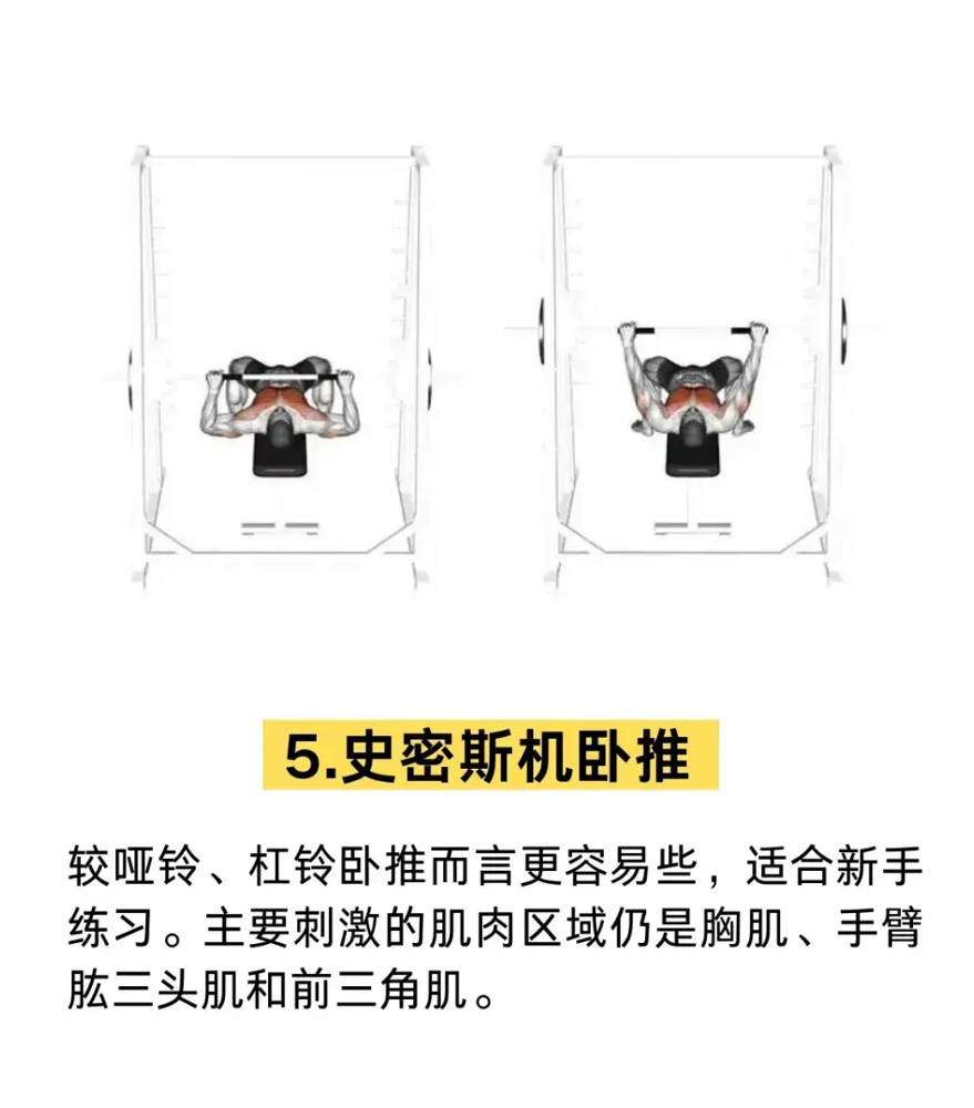 综合训练器 胸肌_胸肌锻炼器材的使用方法_胸肌训练器有用吗