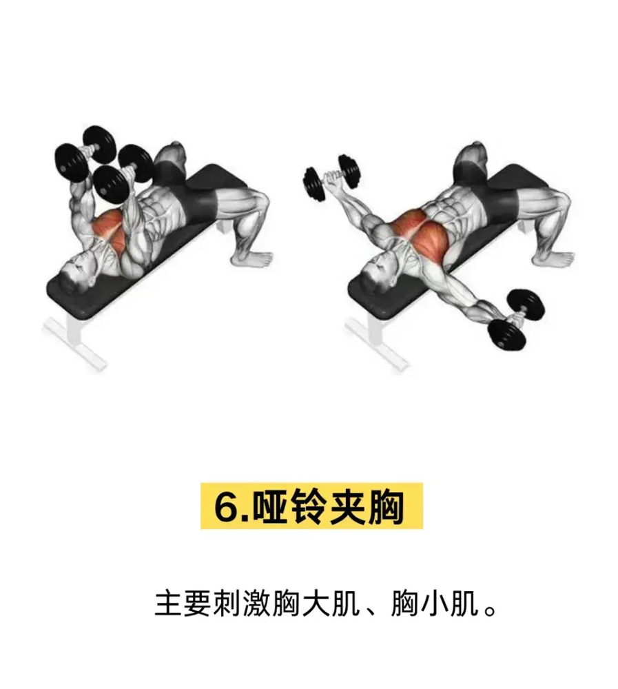 综合训练器 胸肌_胸肌锻炼器材的使用方法_胸肌训练器有用吗