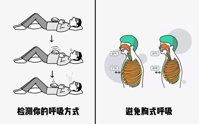 臂力器锻炼方法图解全套_综合训练器锻炼轨迹_综合训练器锻炼图解
