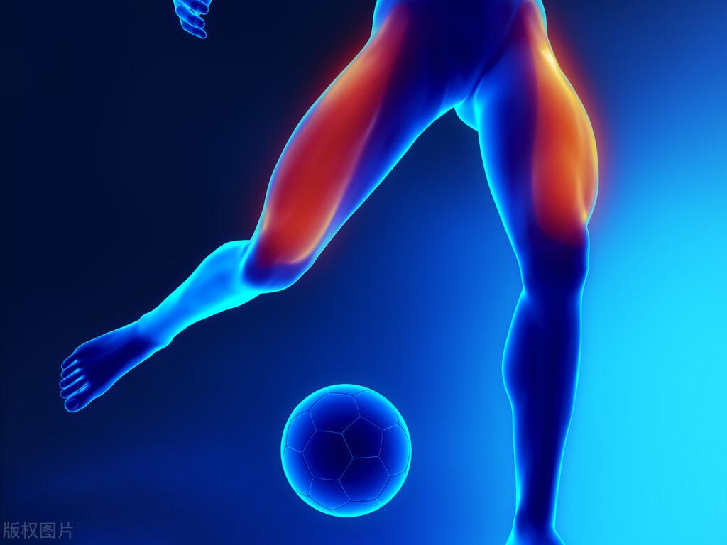 股四头肌训练椅安装步骤_股四头肌训练椅注意事项_股四头肌训练椅