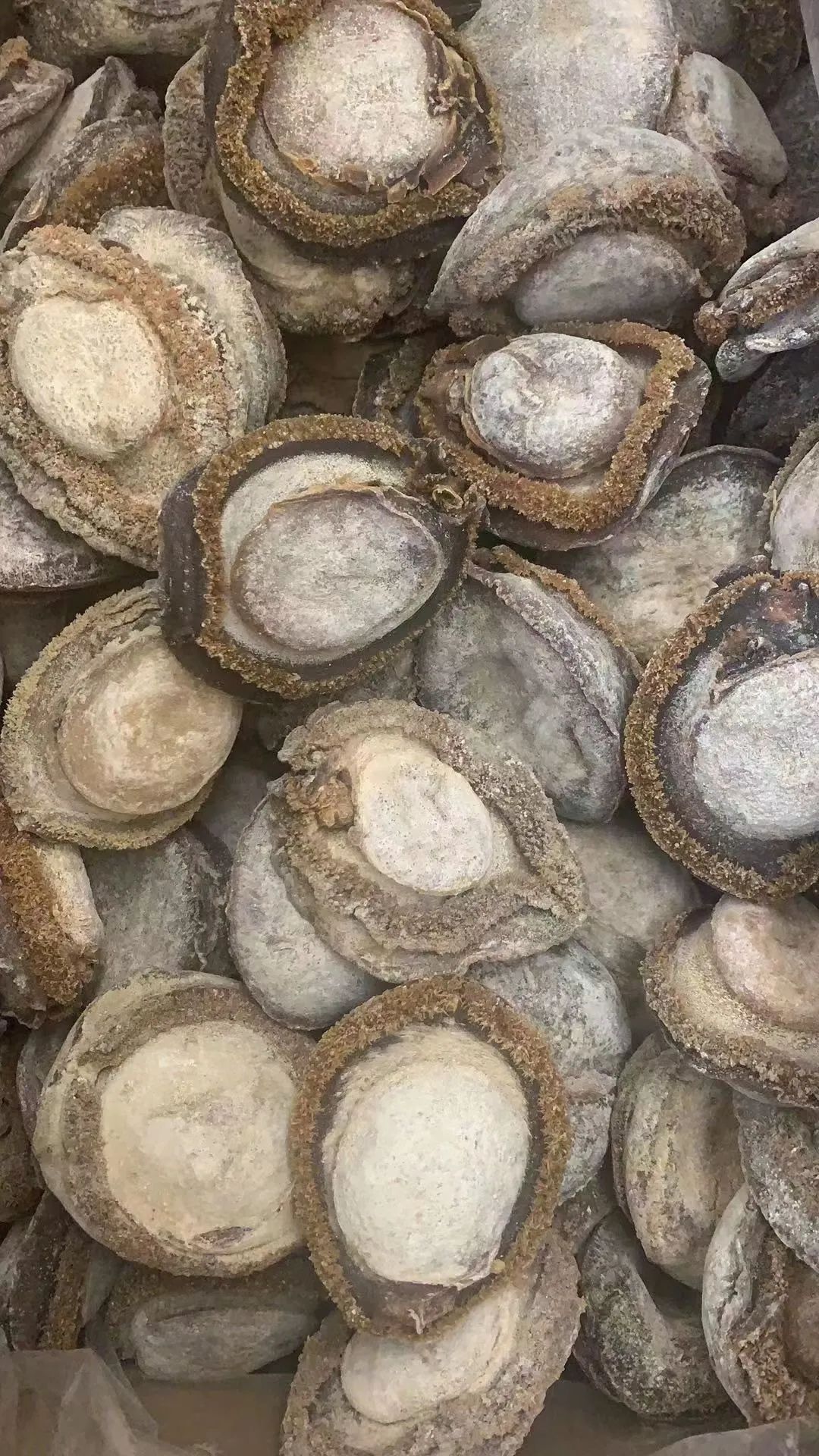 手套健身品牌有哪些_品牌健身手套_手套健身品牌排行