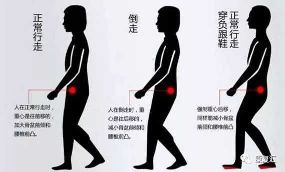 髋关节训练椅_髋关节训练椅的用途_髋关节训练椅说明书