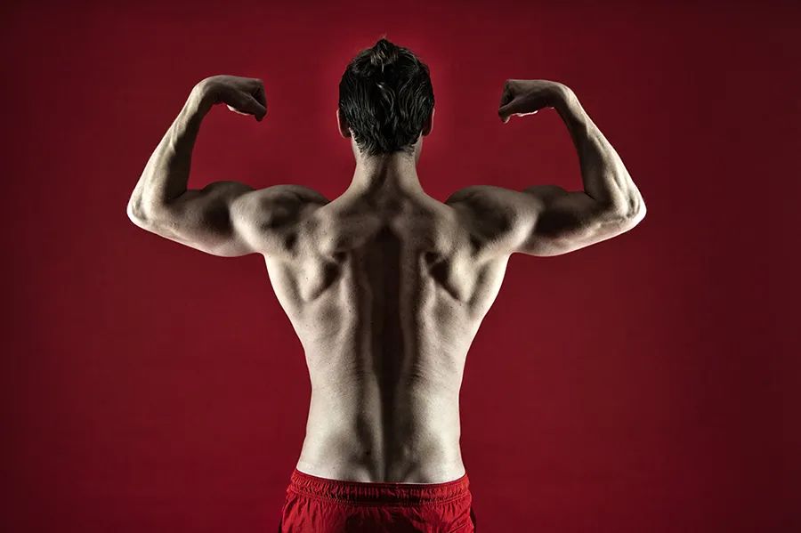 开yun体育app官方下载入口 6个徒手练背动作，在家就能妥妥练起来