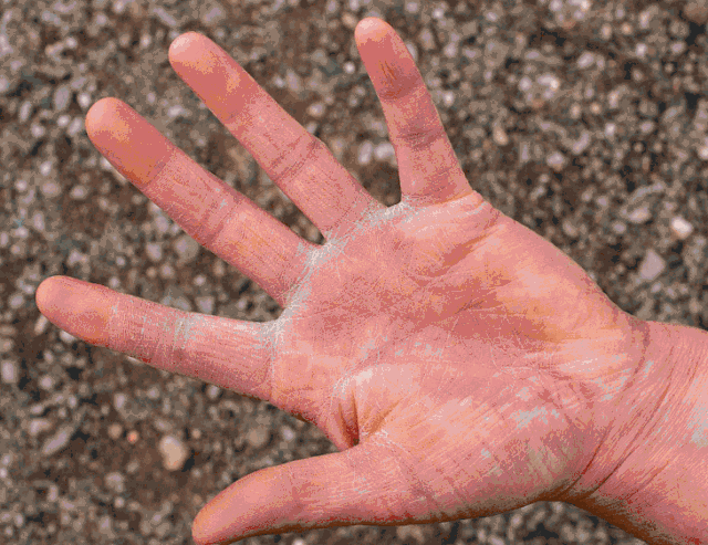 开yun体育官网入口登录体育 搞了1个手套不怕刀割还防滑，防热防油防水，方便消毒还能重复用