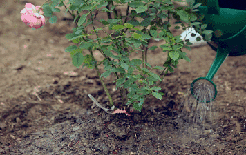 手套健身防滑效果好吗_健身防滑手套_手套健身防滑吗