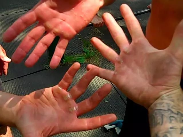 健身手套买什么比较好_健身手套选择_健身手套买大还是买小