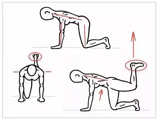 髋关节训练椅_髋关节训练椅的用途_髋关节训练椅说明书
