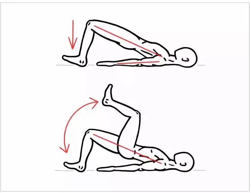 髋关节训练椅说明书_髋关节训练椅_髋关节训练椅的用途