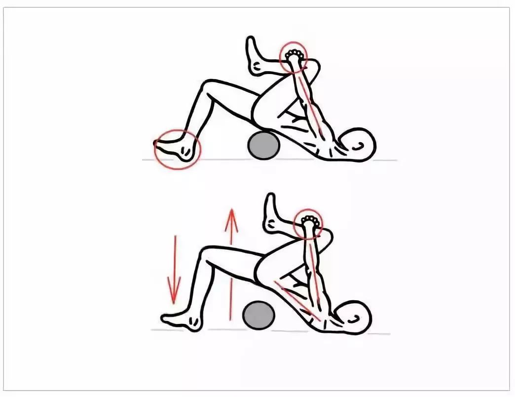 髋关节训练椅_髋关节训练椅说明书_髋关节训练椅的用途