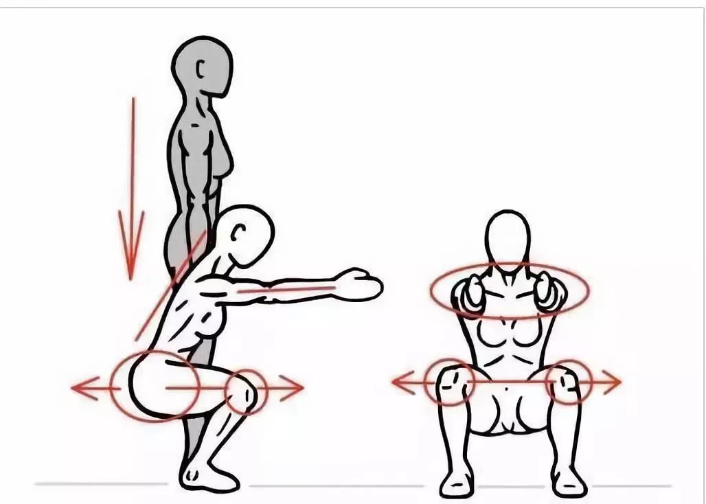 髋关节训练椅说明书_髋关节训练椅_髋关节训练椅的用途