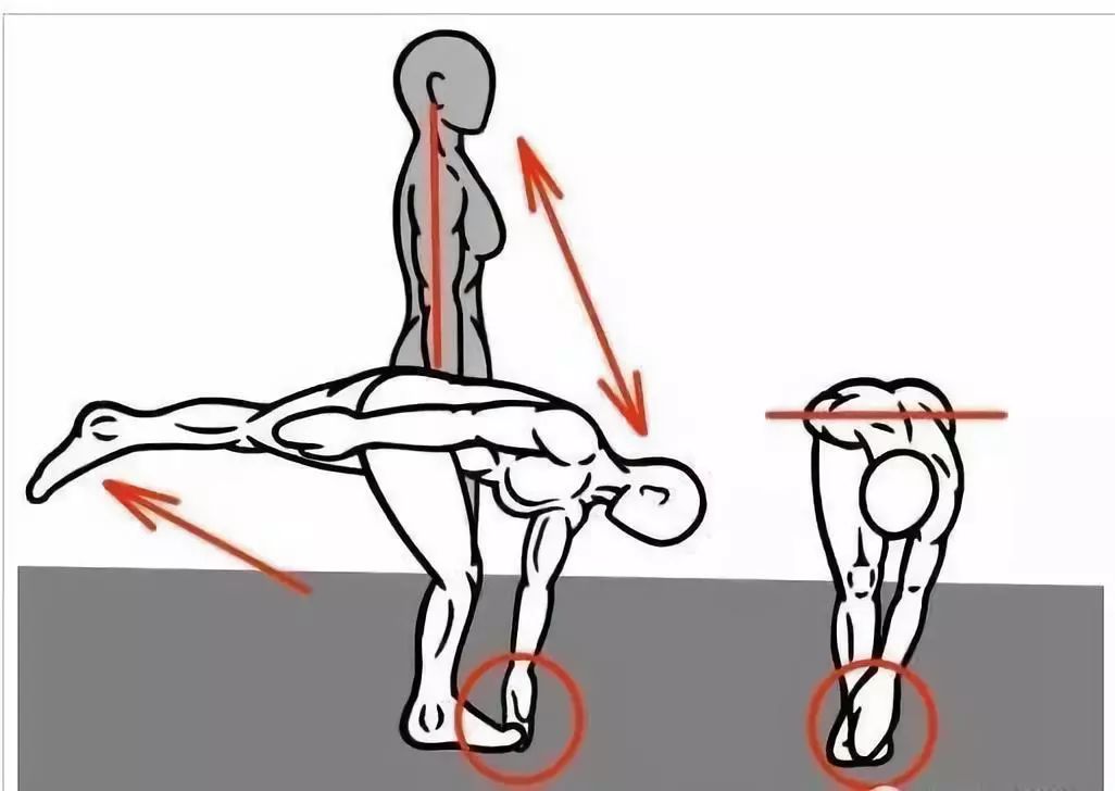 髋关节训练椅说明书_髋关节训练椅_髋关节训练椅的用途