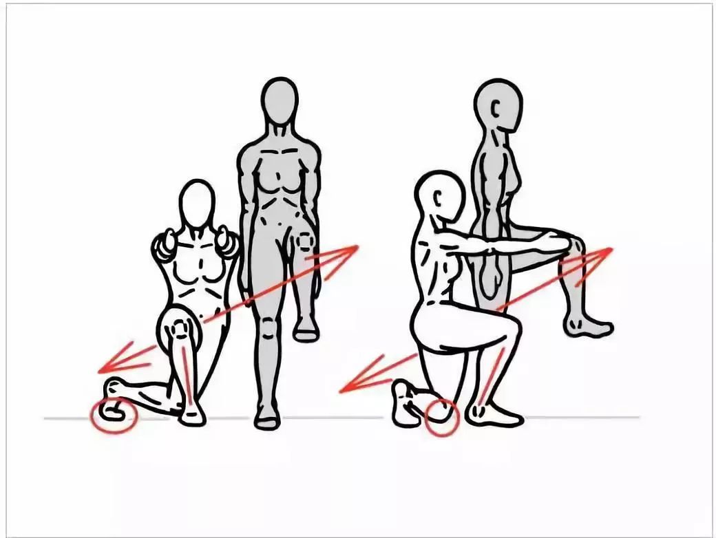 髋关节训练椅说明书_髋关节训练椅的用途_髋关节训练椅