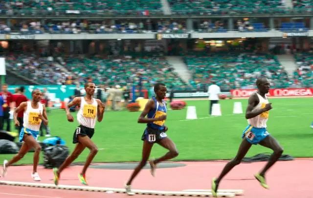 髋关节训练椅说明书_髋关节训练椅_髋关节训练椅的用途