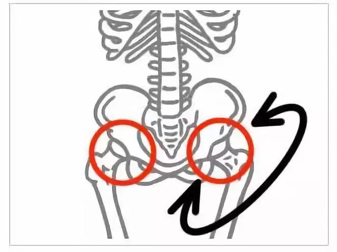 髋关节训练椅说明书_髋关节训练椅_髋关节训练椅的用途