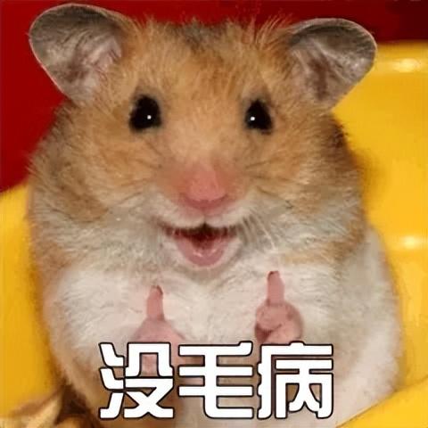 综合训练器怎么选择_综合训练器训练计划_综合训练器锻炼视频教程