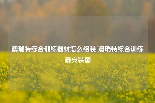 云开·全站APP登录入口 澳瑞特综合训练器材怎么组装 澳瑞特综合训练器安装图