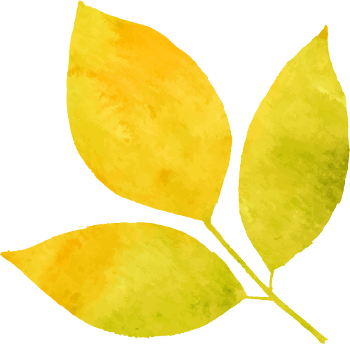 股四头肌训练椅注意事项_股四头肌训练椅_股四头肌训练椅子