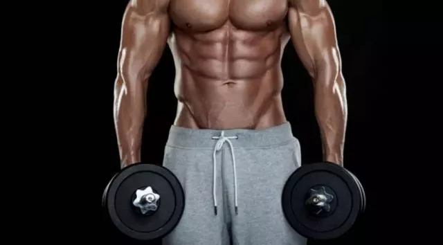 单人综合训练器_单人综合训练器有用吗_单人站综合训练器安装